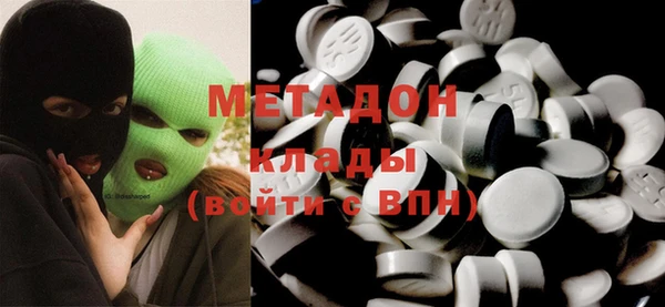 прущие грибы Лабытнанги