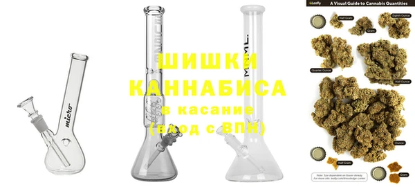 прущие грибы Лабытнанги