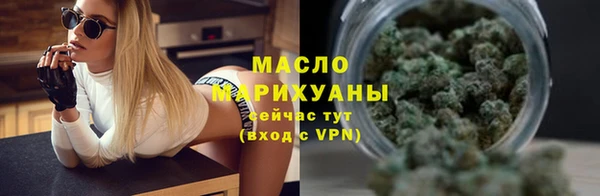прущие грибы Лабытнанги