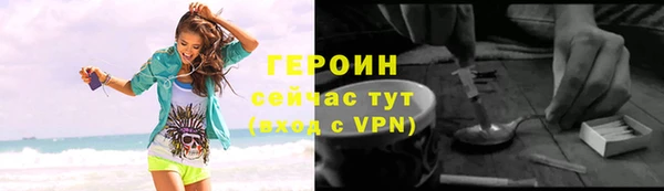 прущие грибы Лабытнанги