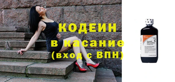 прущие грибы Лабытнанги