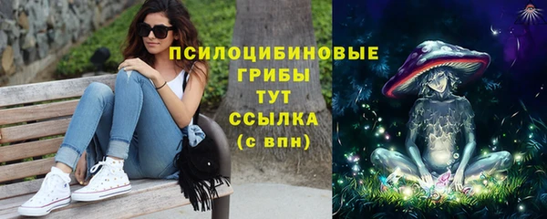 мдпв Лагань