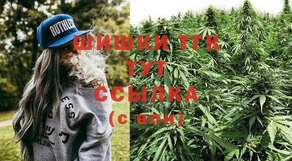 прущие грибы Лабытнанги