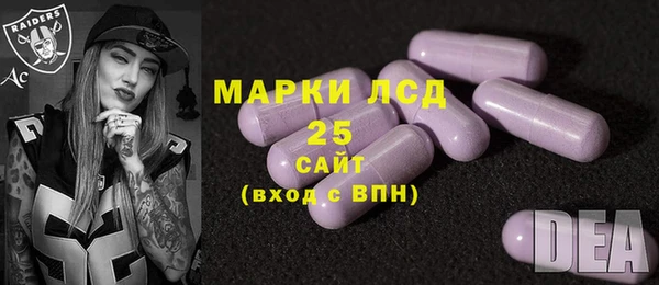 мдпв Лагань