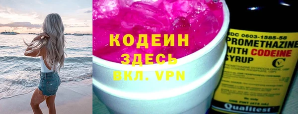 прущие грибы Лабытнанги