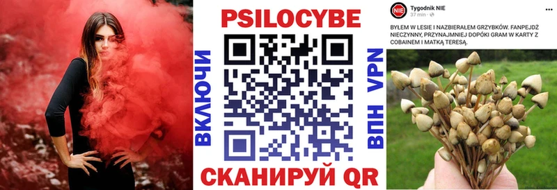 Псилоцибиновые грибы прущие грибы Лабытнанги