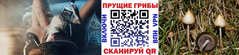это формула  Лабытнанги  Галлюциногенные грибы ЛСД 